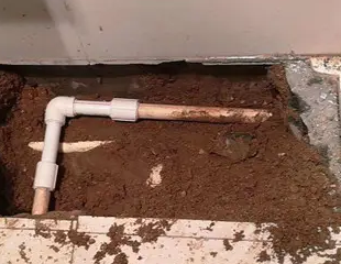 汉阳测漏水哪家好