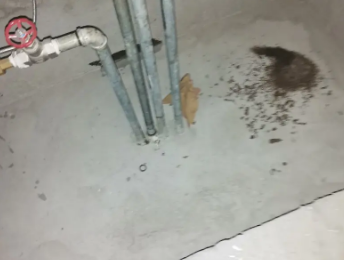 汉阳卫生间测漏水价格明细