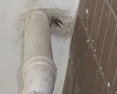 汉阳漏水检测哪家好